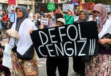 Bir ihanet belgesi: Cengiz 1 milyon ağacı kimin için kesiyor? -Bahadır Özgür